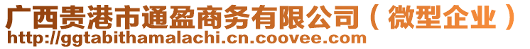 廣西貴港市通盈商務有限公司(微型企業)
