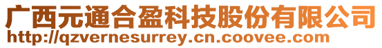 廣西元通合盈科技股份有限公司