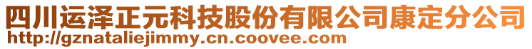 四川運澤正元科技股份有限公司康定分公司