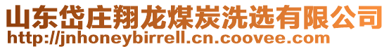 山東岱莊翔龍煤炭洗選有限公司