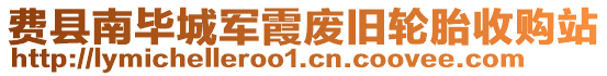 費縣南畢城軍霞廢舊輪胎收購站