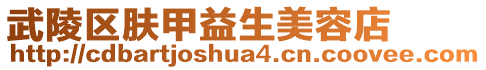 武陵區(qū)膚甲益生美容店