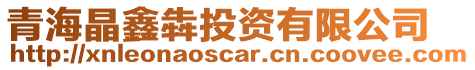 青海晶鑫犇投資有限公司
