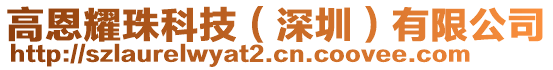 高恩耀珠科技(深圳)有限公司