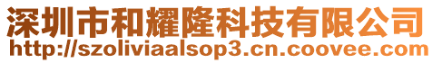 深圳市和耀隆科技有限公司