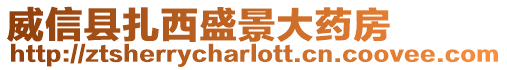 威信縣扎西盛景大藥房