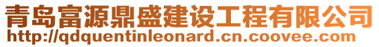 青島富源鼎盛建設(shè)工程有限公司