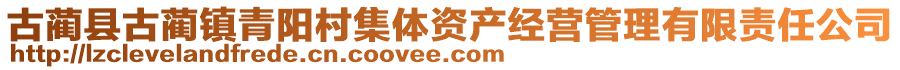 古藺縣古藺鎮青陽村集體資產經營管理有限責任公司