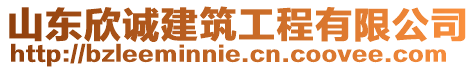 山東欣誠建筑工程有限公司