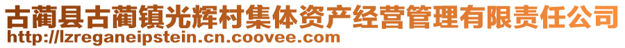 古藺縣古藺鎮光輝村集體資產經營管理有限責任公司