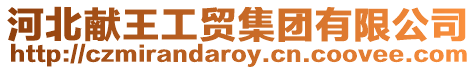 河北獻王工貿集團有限公司