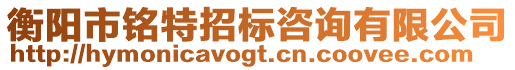 衡陽市銘特招標咨詢有限公司