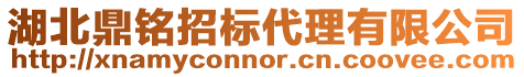 湖北鼎銘招標代理有限公司