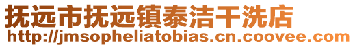 撫遠市撫遠鎮泰潔干洗店