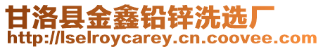 甘洛縣金鑫鉛鋅洗選廠