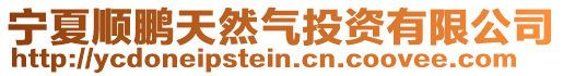 寧夏順鵬天然氣投資有限公司