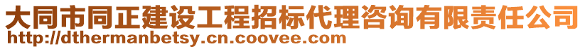 大同市同正建設(shè)工程招標(biāo)代理咨詢有限責(zé)任公司