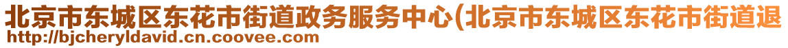 北京市东城区东花市街道政务服务中心(北京市东城区东花市街道退