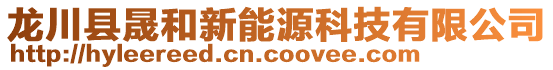 龍川縣晟和新能源科技有限公司