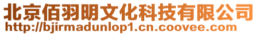 北京佰羽明文化科技有限公司