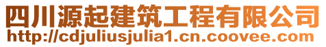 四川源起建筑工程有限公司