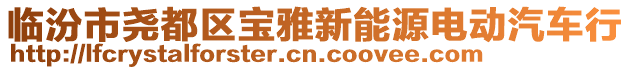臨汾市堯都區(qū)寶雅新能源電動(dòng)汽車行