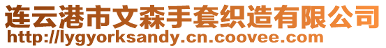連云港市文森手套織造有限公司