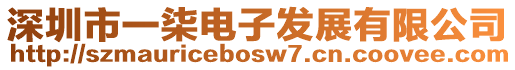 深圳市一柒電子發展有限公司