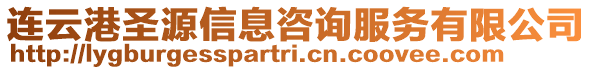 連云港圣源信息咨詢服務(wù)有限公司
