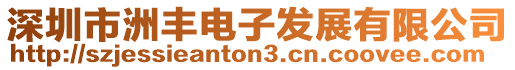 深圳市洲豐電子發(fā)展有限公司