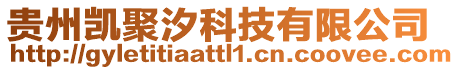 貴州凱聚汐科技有限公司