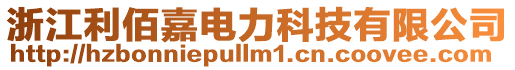 浙江利佰嘉電力科技有限公司