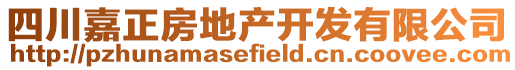 四川嘉正房地產(chǎn)開發(fā)有限公司