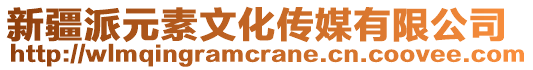 新疆派元素文化傳媒有限公司