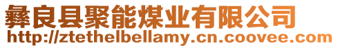 彝良縣聚能煤業(yè)有限公司