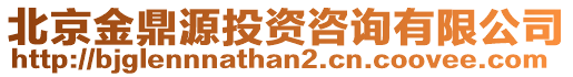 北京金鼎源投資咨詢有限公司