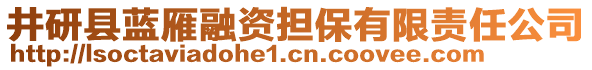 井研縣藍(lán)雁融資擔(dān)保有限責(zé)任公司