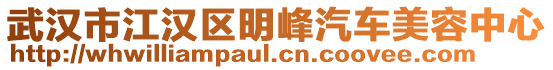 武漢市江漢區明峰汽車美容中心