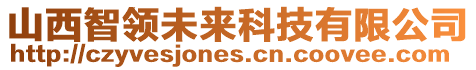 山西智領(lǐng)未來科技有限公司