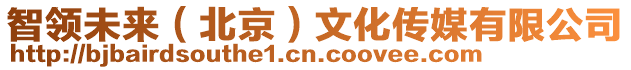 智領(lǐng)未來(lái)（北京）文化傳媒有限公司