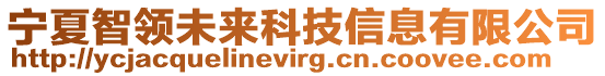 寧夏智領(lǐng)未來科技信息有限公司