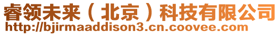 睿領(lǐng)未來（北京）科技有限公司