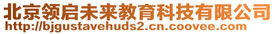 北京領(lǐng)啟未來(lái)教育科技有限公司