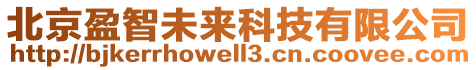 北京盈智未來科技有限公司