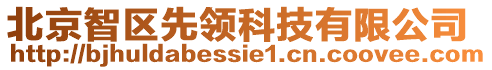 北京智區(qū)先領(lǐng)科技有限公司