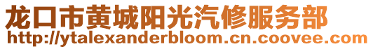 龙口市黄城阳光汽修服务部