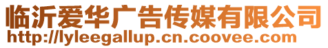 臨沂愛華廣告?zhèn)髅接邢薰? style=