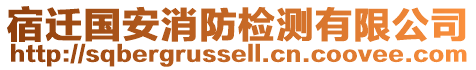 宿遷國安消防檢測有限公司