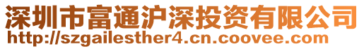 深圳市富通滬深投資有限公司