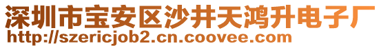 深圳市寶安區(qū)沙井天鴻升電子廠